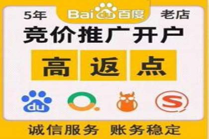 SEM竞价开户流程详解：成功案例解析